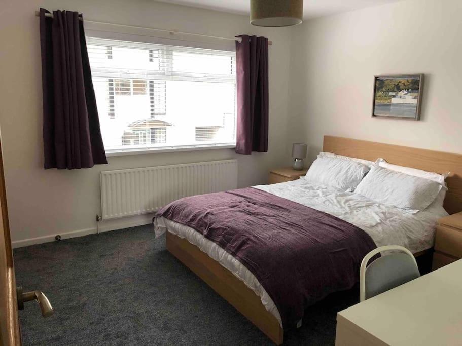 Apartmán Revamped Holywood Town Centre House Exteriér fotografie